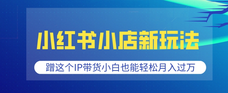 小红书小店新玩法，蹭这个IP带货，小白也能轻松月入过W【揭秘】_豪客资源库