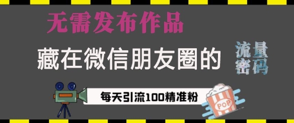 藏在微信朋友圈的流量密码，无需发布作品，单日引流100+精准创业粉【揭秘】_豪客资源库