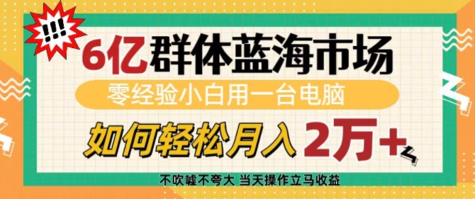 6亿群体蓝海市场，零经验小白用一台电脑，如何轻松月入过w【揭秘】_豪客资源库