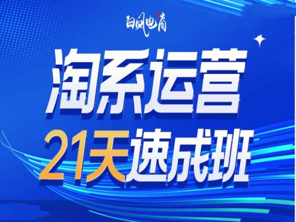 淘系运营21天速成班35期，年前最后一波和2025方向_豪客资源库