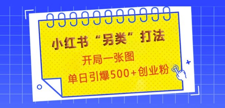 小红书“另类”打法，开局一张图，单日引爆500+精准创业粉【揭秘】_豪客资源库