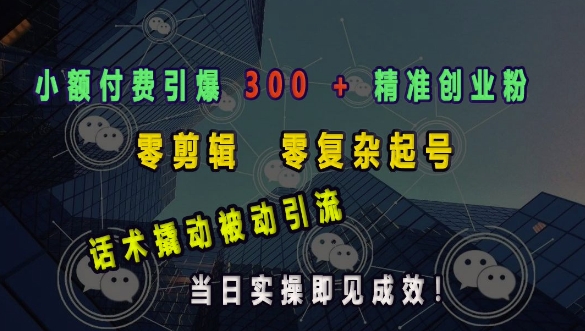 小额付费引爆 300 + 精准创业粉，零剪辑、零复杂起号，话术撬动被动引流，当日实操即见成效_豪客资源库