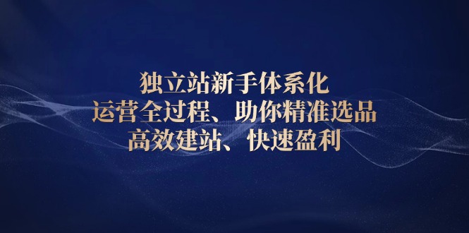 独立站新手体系化 运营全过程，助你精准选品、高效建站、快速盈利_豪客资源库