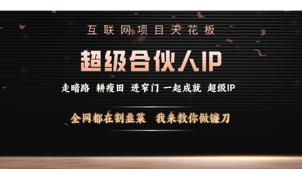 互联网项目天花板，超级合伙人IP，全网都在割韭菜，我来教你做镰刀【仅揭秘】_豪客资源库