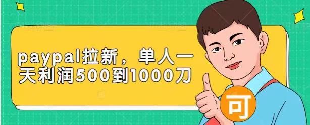 Paypal拉新赚美刀项目，单人一天利润500-1000刀【视频课程】_豪客资源库