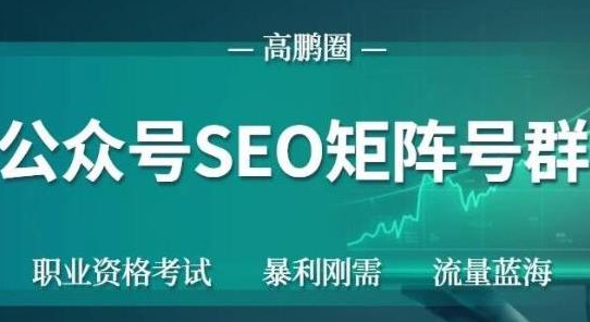 高鹏圈公众号SEO矩阵号群，实操20天纯收益25000+，普通人都能做_豪客资源库