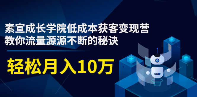 素宣成长学院低成本获客变现营，教你流量源源不断的秘诀，轻松月入10万_豪客资源库