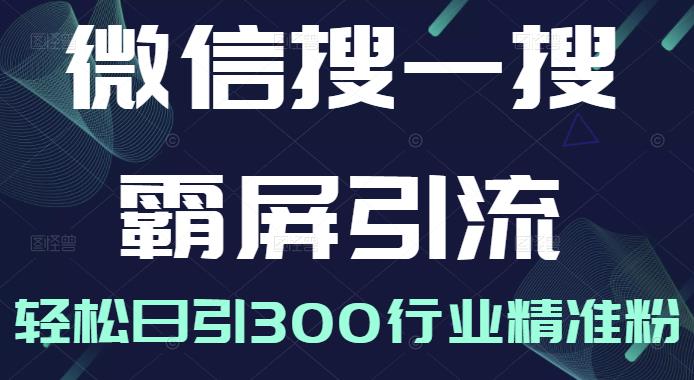 微信搜一搜霸屏引流课，打造被动精准引流系统，轻松日引300行业精准粉_豪客资源库