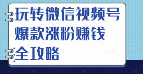 玩转微信视频号爆款涨粉赚钱全攻略，让你快速抓住流量风口，收获红利财富_豪客资源库