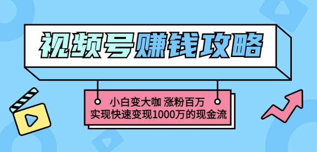 玩转微信视频号赚钱：小白变大咖涨粉百万实现快速变现1000万的现金流_豪客资源库