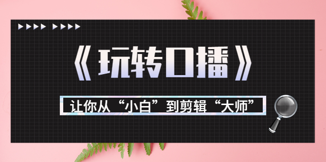 月营业额700万+大佬教您《玩转口播》让你从“小白”到剪辑“大师”_豪客资源库