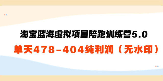 淘宝蓝海虚拟项目陪跑训练营5.0：单天478纯利润_豪客资源库