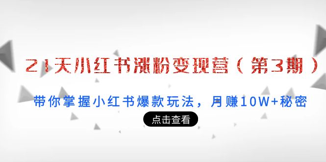 21天小红书涨粉变现营（第3期）：带你掌握小红书爆款玩法，月赚10W+秘密_豪客资源库