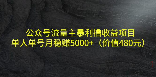 公众号流量主暴利撸收益项目，单人单号月稳赚5000+（价值480元）_豪客资源库