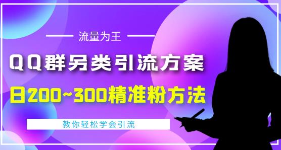 价值888的QQ群另类引流方案，半自动操作日200~300精准粉方法【视频教程】_豪客资源库