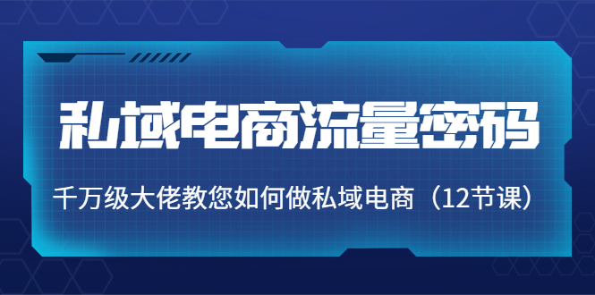 私域电商流量密码：千万级大佬教您如何做私域电商（12节课）_豪客资源库