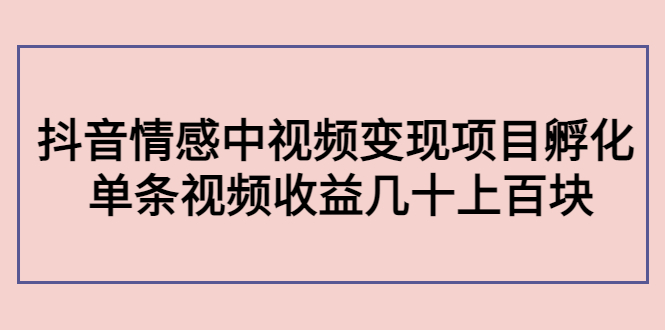 副业孵化营第5期：抖音情感中视频变现项目孵化 单条视频收益几十上百_豪客资源库