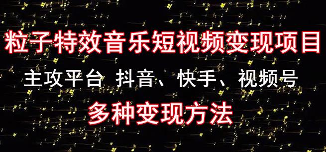 黄岛主《粒子特效音乐短视频变现项目》主攻平台抖音、快手、视频号多种变现方法_豪客资源库