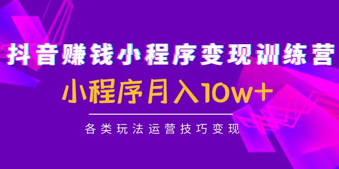 抖音赚钱小程序变现训练营：小程序月入10w+各类玩法运营技巧变现_豪客资源库