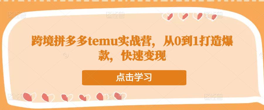 跨境拼多多temu实战营，从0到1打造爆款，快速变现_豪客资源库