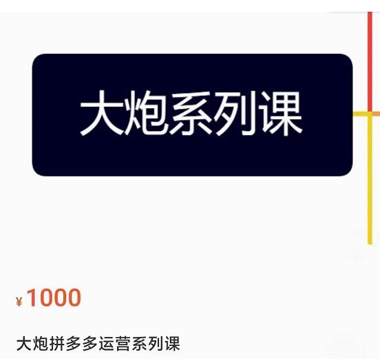 大炮拼多多运营系列课，各类​玩法合集，拼多多运营玩法实操_豪客资源库