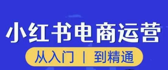 顽石小红书电商高阶运营课程，从入门到精通，玩法流程持续更新_豪客资源库