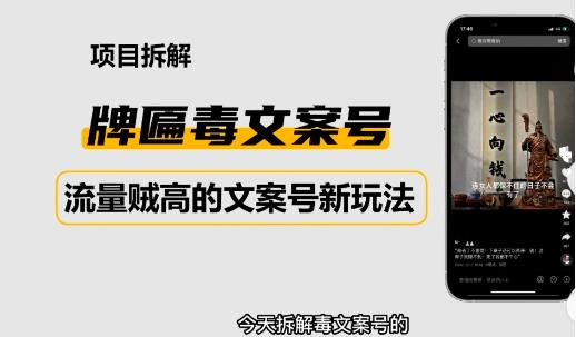 2023抖音快手毒文案新玩法，牌匾文案号，起号快易变现_豪客资源库