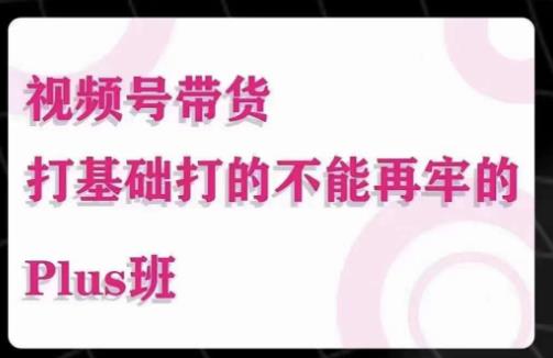 大播汇·视频号带货Puls班，视频号底层逻辑，起号自然流鱼塘等玩法_豪客资源库