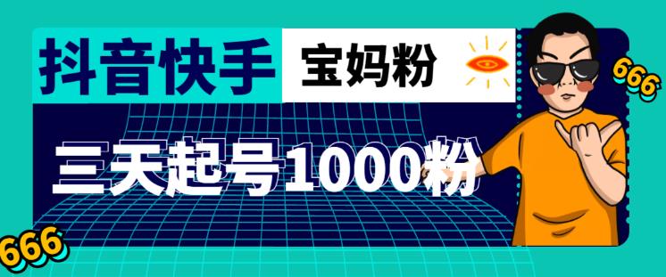 抖音快手三天起号涨粉1000宝妈粉丝的核心方法【详细玩法教程】_豪客资源库