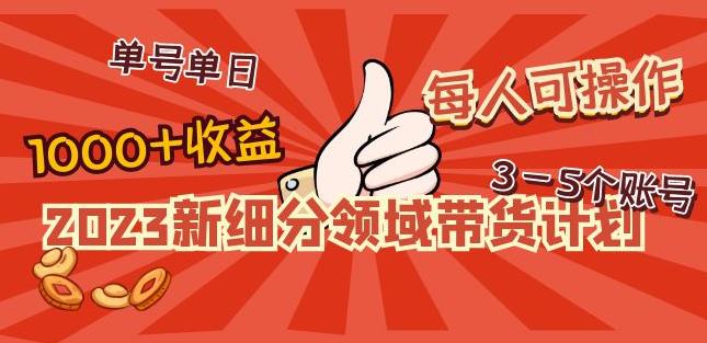 2023新细分领域带货计划：单号单日1000+收益不难，每人可操作3-5个账号_豪客资源库