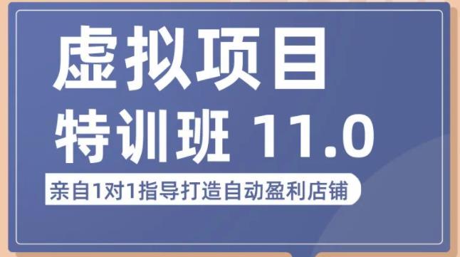 陆明明·虚拟项目特训班（10.0+11.0），0成本获取虚拟素材，0基础打造自动盈利店铺_豪客资源库