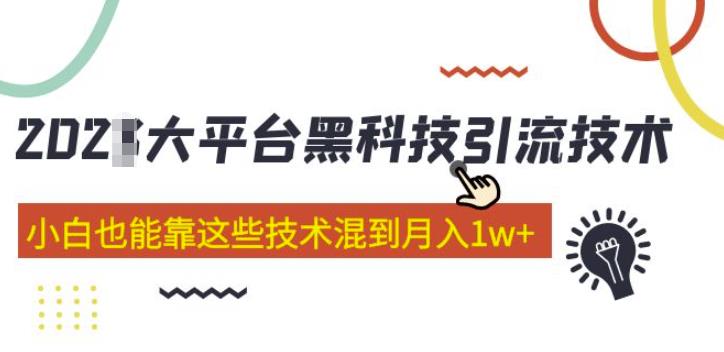 大平台黑科技引流技术，小白也能靠这些技术混到月入1w+(2022年的课程）_豪客资源库