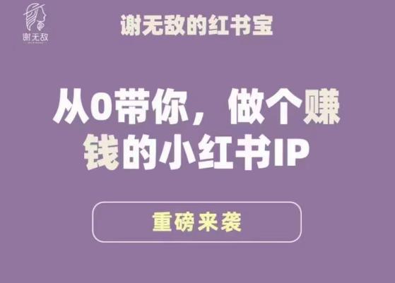 谢无敌·小红书运营大宝典，从0带你做个赚钱的小红书IP_豪客资源库