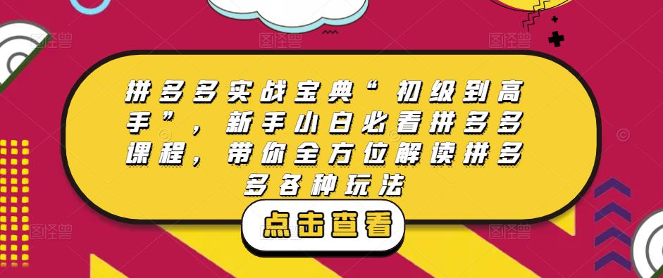 拼多多实战宝典“初级到高手”，新手小白必看拼多多课程，带你全方位解读拼多多各种玩法_豪客资源库