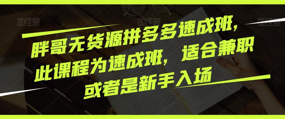 胖哥无货源拼多多速成班，此课程为速成班，适合兼职或者是新手入场_豪客资源库