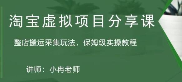 淘宝虚拟整店搬运采集玩法分享课：整店搬运采集玩法，保姆级实操教程_豪客资源库