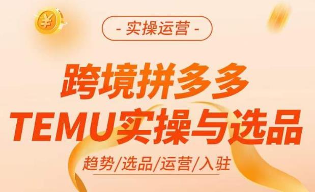 跨境拼多多TEMU实操与选品，​掌握平台运营方法技巧，选品避坑12条标准，爆款的底层思路等_豪客资源库