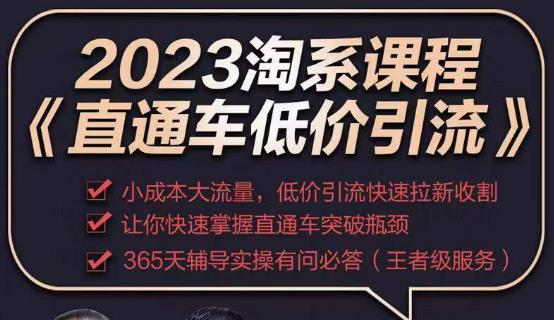 2023直通车低价引流玩法课程，小成本大流量，低价引流快速拉新收割，让你快速掌握直通车突破瓶颈_豪客资源库