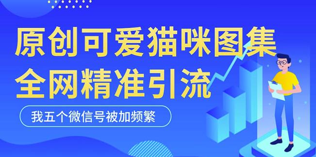 黑科技纯原创可爱猫咪图片，全网精准引流，实操5个VX号被加频繁_豪客资源库