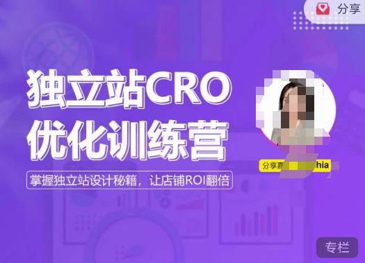 独立站CRO优化训练营，掌握独立站设计秘籍，打造高转化的独立站，让店铺ROI翻倍_豪客资源库