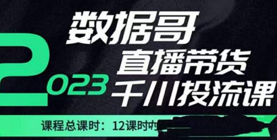 数据哥2023直播电商巨量千川付费投流实操课，快速掌握直播带货运营投放策略_豪客资源库