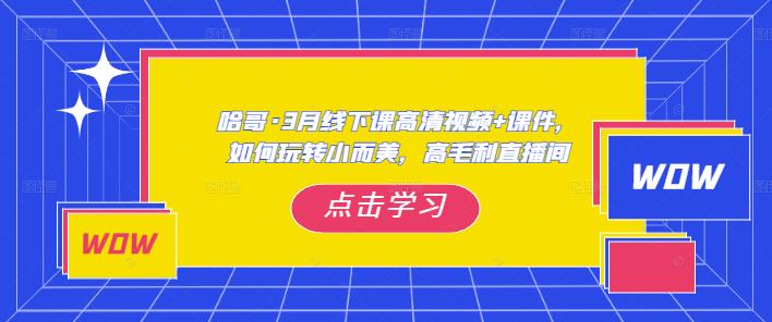 哈哥·3月线下实操课高清视频+课件，如何玩转小而美，高毛利直播间_豪客资源库