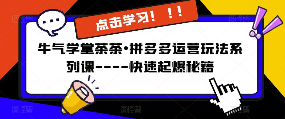 牛气学堂茶茶•拼多多运营玩法系列课—-快速起爆秘籍【更新】_豪客资源库