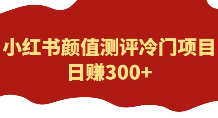 外面1980的项目，小红书颜值测评冷门项目，日赚300+【揭秘】_豪客资源库