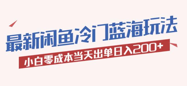 2023最新闲鱼冷门蓝海玩法，小白零成本当天出单日入200+【揭秘】_豪客资源库