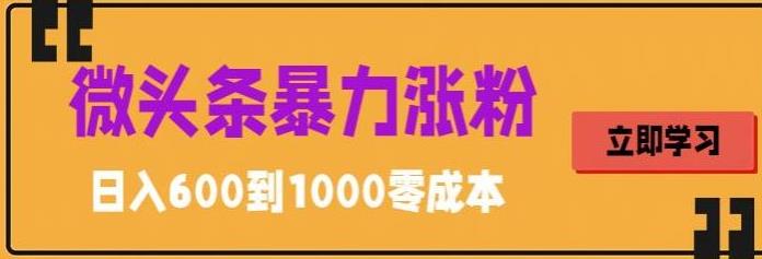 微头条暴力涨粉技巧搬运文案就能涨几万粉丝，简单0成本，日赚600【揭秘】_豪客资源库