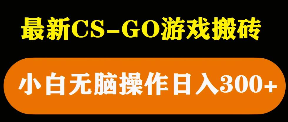 最新csgo游戏搬砖游戏，无需挂机小白无脑也能日入300+_豪客资源库