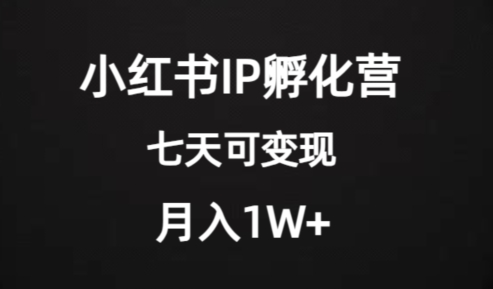 价值2000+的小红书IP孵化营项目，超级大蓝海，七天即可开始变现，稳定月入1W+_豪客资源库