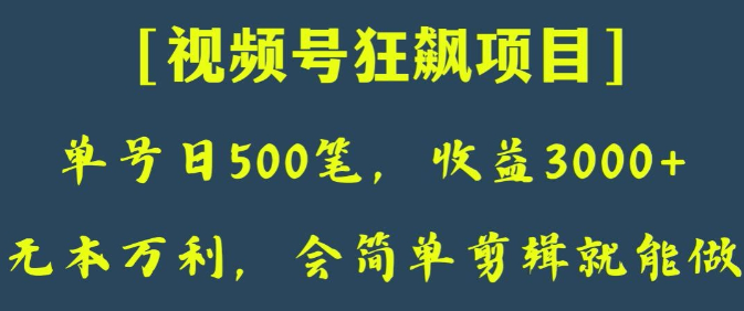 日收款500笔，纯利润3000+，视频号狂飙项目，会简单剪辑就能做【揭秘】_豪客资源库