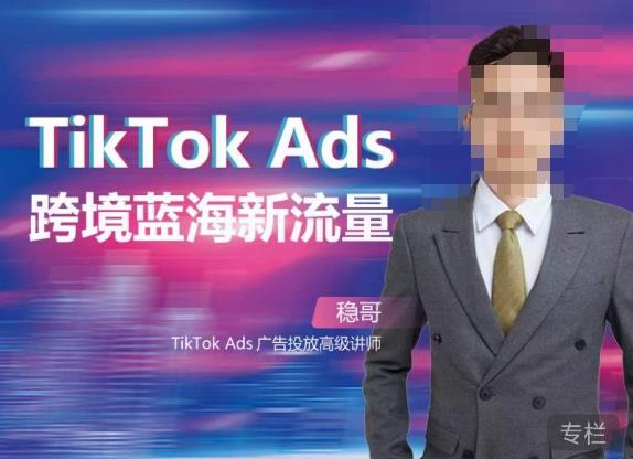 稳哥·如何投出高ROI的TikTok广告，开拓独立站卖家流量新蓝海_豪客资源库